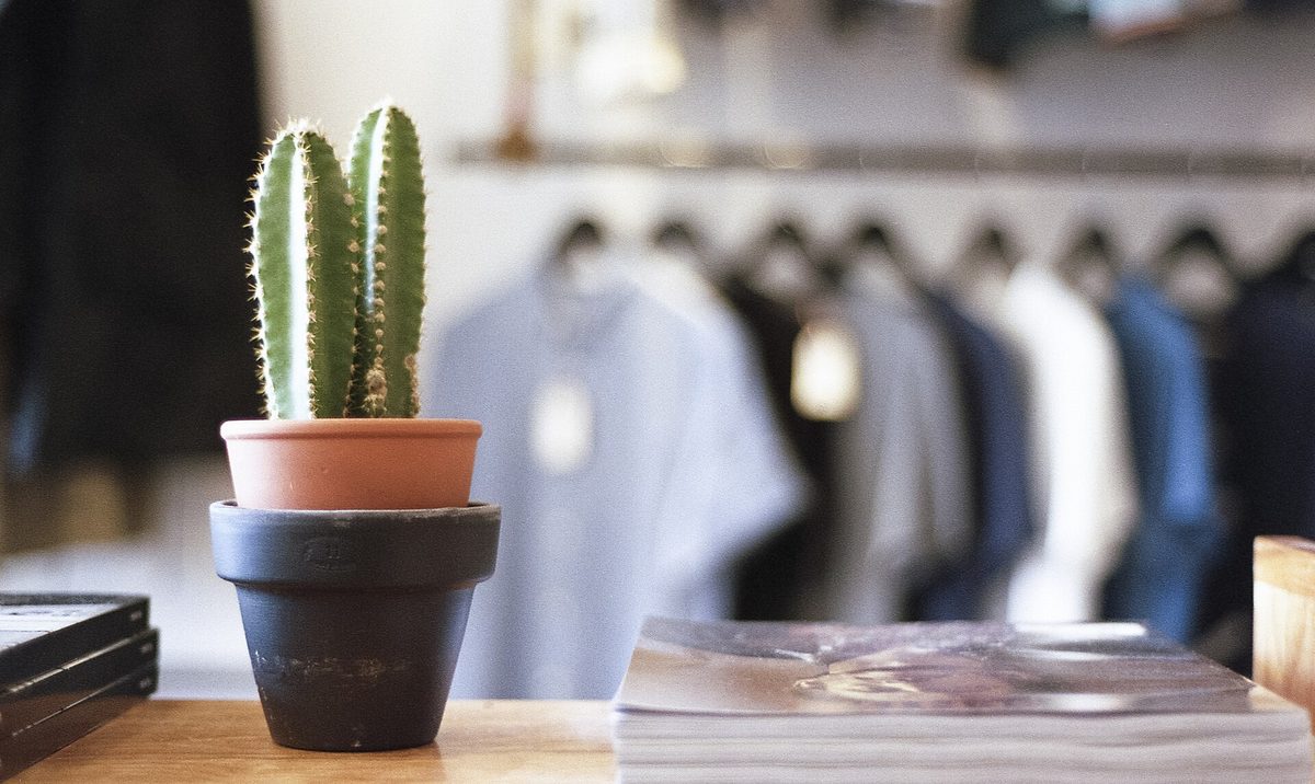 A rail of shirts in a minimal boutique, with a small plant on the counter in front