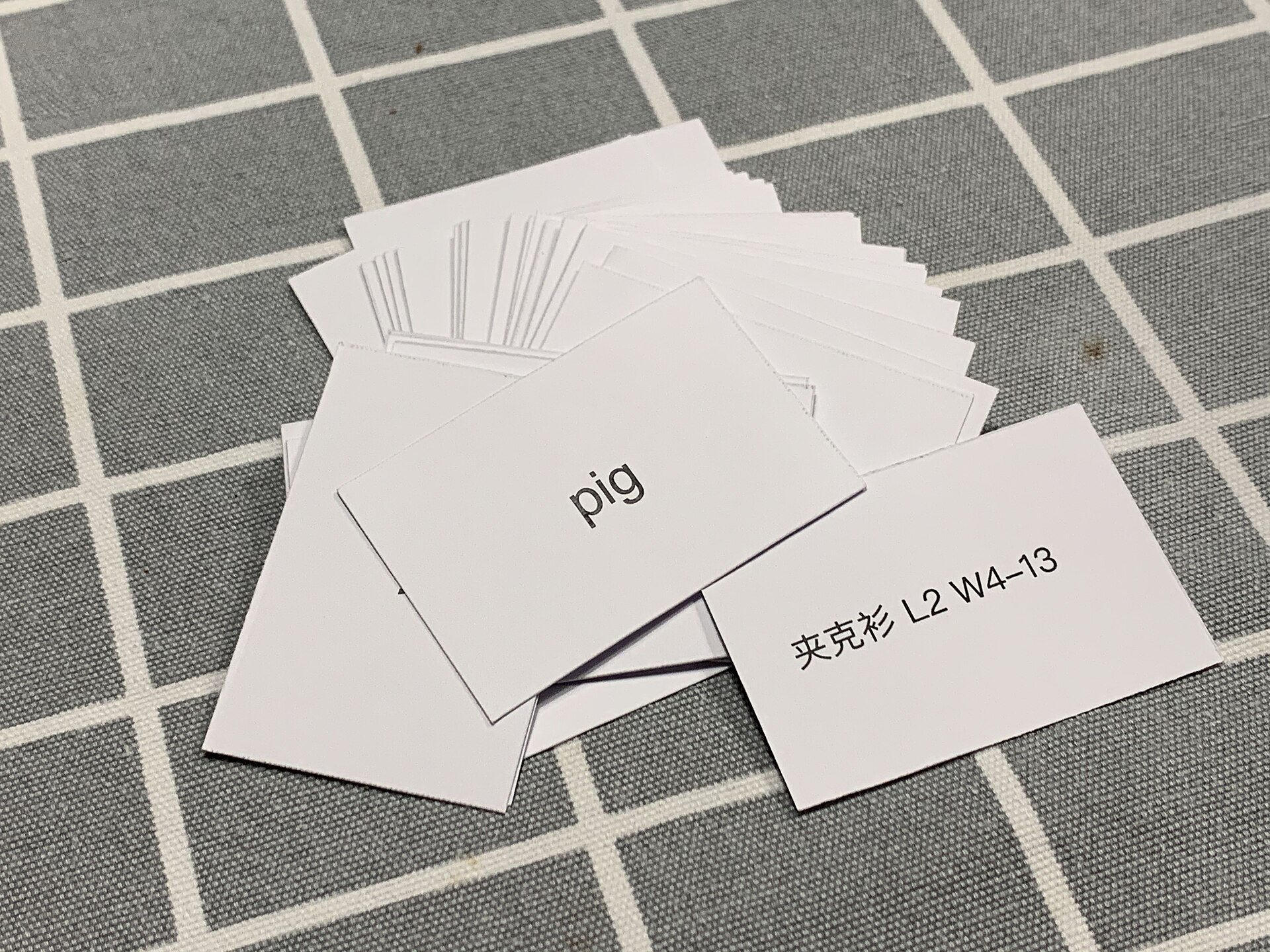 A hand holding language-learning flashcards, one reading 'pig'