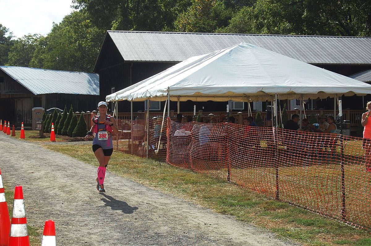 Runners on a wooded trail during an organised race